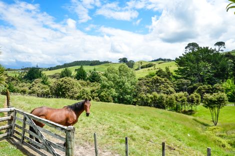 Photo of property in 87 Zanders Road, Helensville, Waimauku, 0882