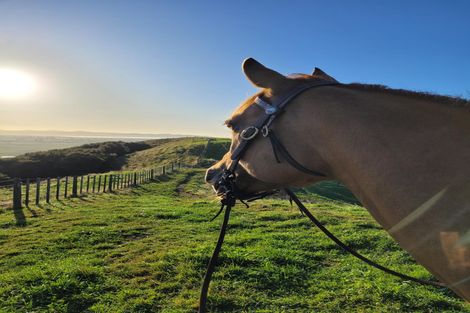 Photo of property in 149b Torehape Road, Kaihere, Ngatea, 3597
