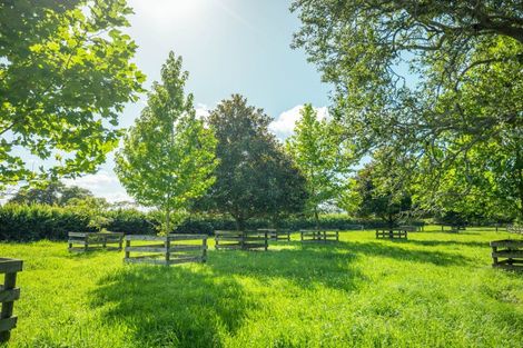 Photo of property in 662 Tauwhare Road, Matangi, Hamilton, 3287