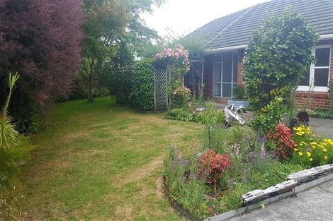 Photo of property in 6 Walton Avenue, Waikanae, 5036