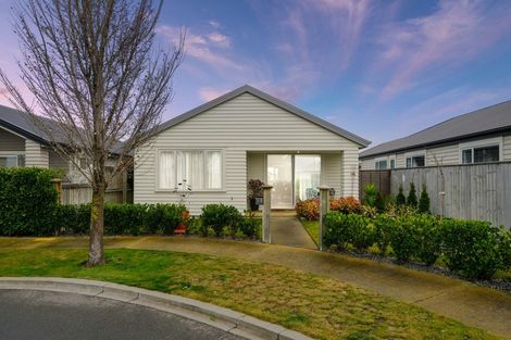 Photo of property in 19 Pounamu Place, Pegasus, 7612