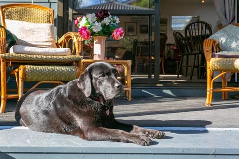 Photo of property in 189 Taupahi Road, Turangi, 3334