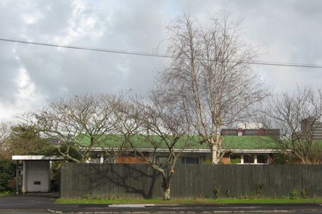 Photo of property in 163 River Road, Hamilton East, Hamilton, 3216