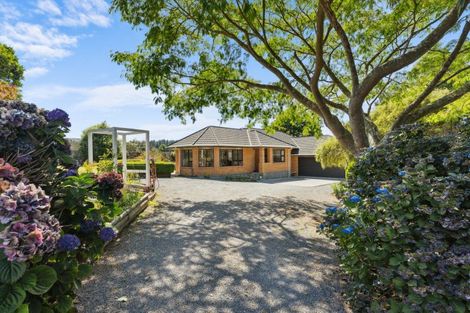 Photo of property in 223 Heatherlea East Road, Levin, 5571