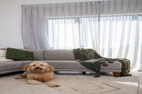 Photo of property in 8 Karaipiture Road, Karaka, 2124