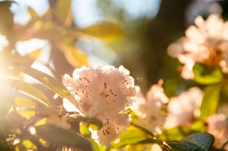 Photo of property in 49 Messines Road, Karori, Wellington, 6012