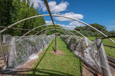 Photo of property in 51 Fosters Road, Mangonui, 0494