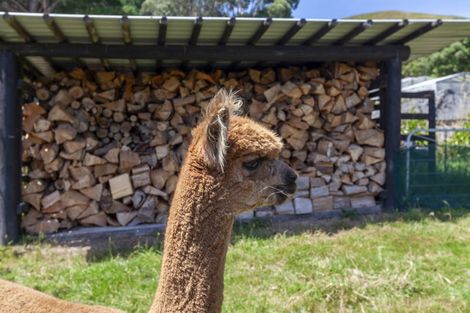 Photo of property in 105 Waterfall Road, Paraparaumu, 5032