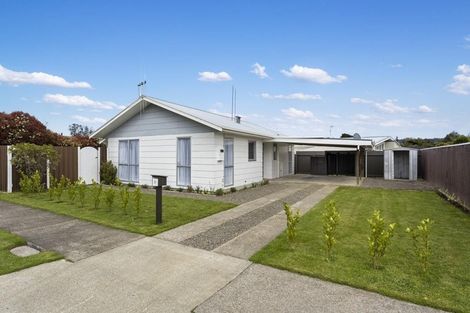 Photo of property in 51 Rimu Street, Levin, 5510