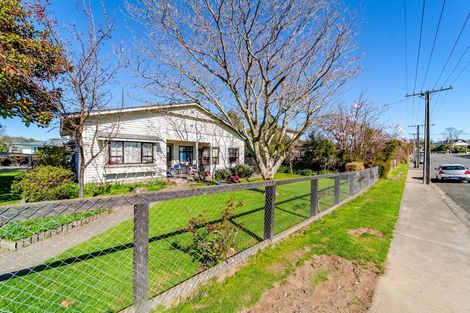 Photo of property in 6 Tutanekai Street, Waipukurau, 4200