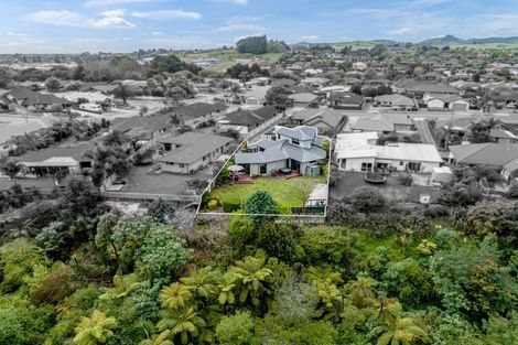 Photo of property in 180 Hollister Lane, Ohauiti, Tauranga, 3112