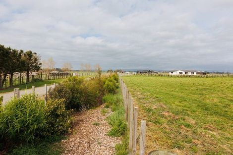 Photo of property in 316 Taonui Road, Aorangi, 4775