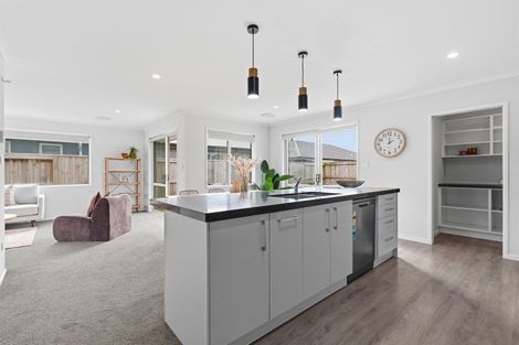 Photo of property in 221 Te Okuroa Drive, Papamoa, 3118