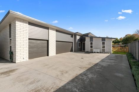 Photo of property in 49 Ritchie Street, Te Aroha, 3320