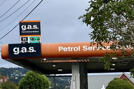 Photo of property in 55 Ottawa Road, Ngaio, Wellington, 6035