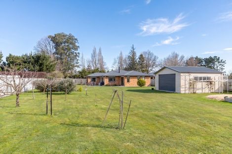Photo of property in 32 Andrew Street, Kuripuni, Masterton, 5810