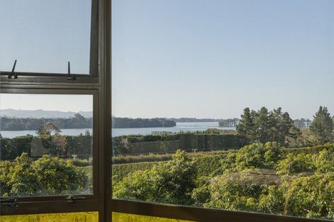 Photo of property in 210 Tuapiro Road, Tahawai, Katikati, 3170