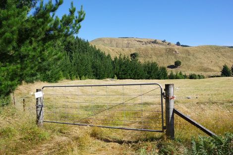 Photo of property in 487 Whangamata Road, Kinloch, Taupo, 3377