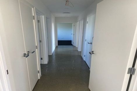 Photo of property in 201a Daphne Street, Te Awamutu, 3800