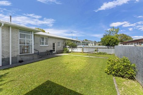 Photo of property in 149 Winchester Street, Levin, 5510