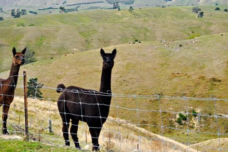 Photo of property in 102 Kilkenny Place, Wakefield, 7095