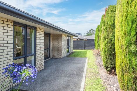 Photo of property in 24 Wychbury Street, Spreydon, Christchurch, 8024