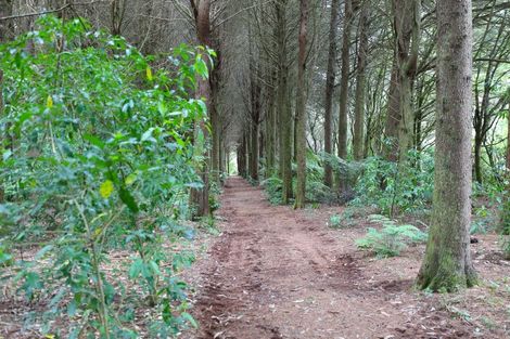 Photo of property in 1021 Paradise Valley Road, Ngongotaha Valley, Rotorua, 3072