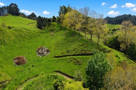 Photo of property in 822 Motukawa Road, Tarata, Inglewood, 4387