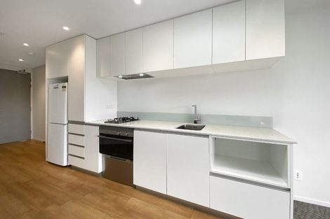 Photo of property in Masina Apartments, 313/80 Riddiford Street, Newtown, Wellington, 6021