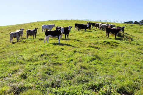 Photo of property in 282 Stanley Road, Te Popo, Stratford, 4394