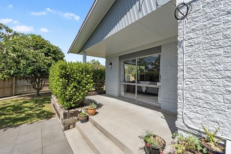 Photo of property in 19 Claremont Avenue, Chartwell, Hamilton, 3210