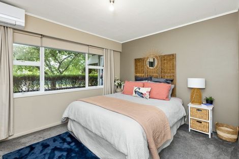 Photo of property in 1a Everest Avenue, Havelock North, 4130