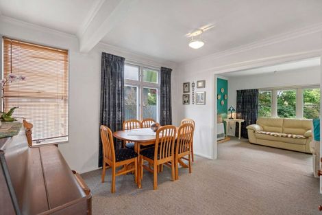 Photo of property in 479 Ruahine Street, Terrace End, Palmerston North, 4410