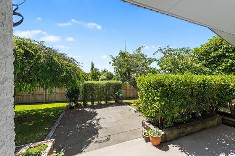 Photo of property in 19 Claremont Avenue, Chartwell, Hamilton, 3210