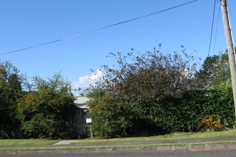 Photo of property in 20 Tane Street, New Lynn, Auckland, 0600