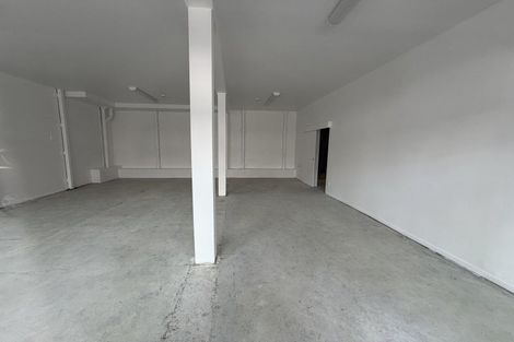 Photo of property in 103 Victoria Street, Te Aro, Wellington, 6011