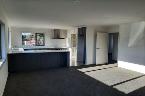 Photo of property in 10a Knowles Street, Terrace End, Palmerston North, 4410