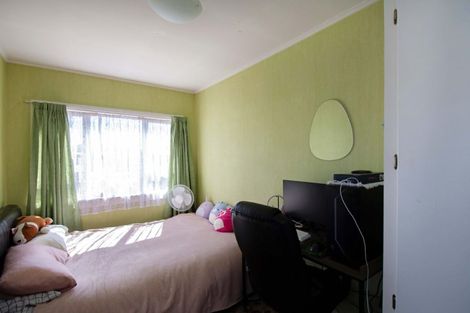 Photo of property in 19 Stratford Street, Blenheim, 7201