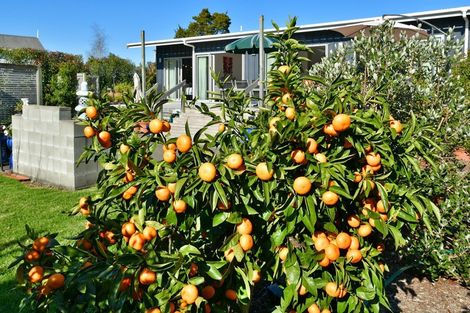 Photo of property in 962 Kahikatea Flat Road, Waitoki, Kaukapakapa, 0871