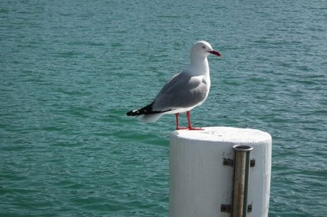 Photo of property in 92 North Road, Kaitaia, 0410