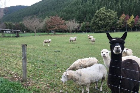 Photo of property in 69 Lee Valley Road, Wairoa Valley, Brightwater, 7091