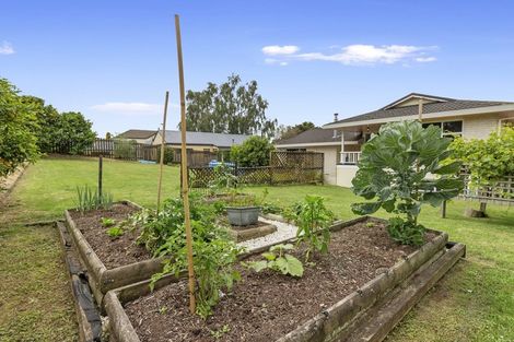 Photo of property in 39 Stirling Drive, Morrinsville, 3300