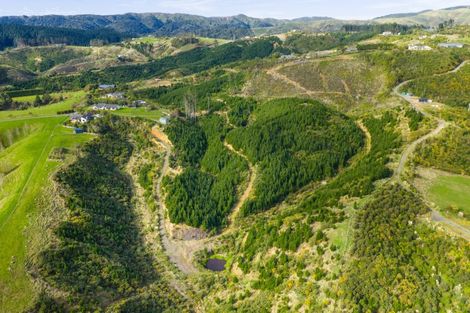 Photo of property in 12 Fleetwood Lane, Turitea, Palmerston North, 4472