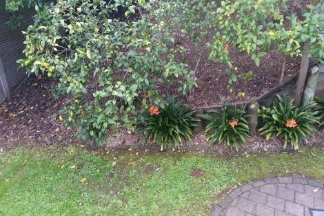 Photo of property in 20 Langana Avenue, Browns Bay, Auckland, 0630