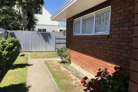 Photo of property in 23a Trafalgar Street, Levin, 5510