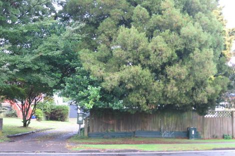 Photo of property in 53 Baird Road, Tokoroa, 3420