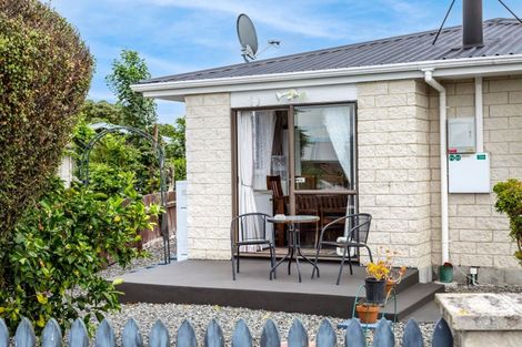 Photo of property in 49 Cambridge Terrace, Masterton, 5810