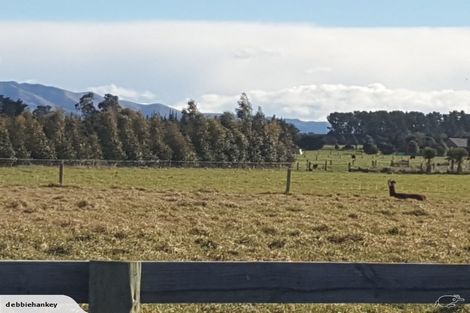 Photo of property in 56 Paritai Lane, Amberley, 7481