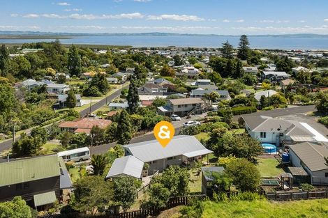 Photo of property in 100 Mill Street, Thames, 3500