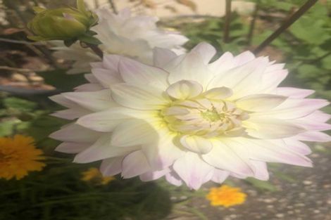 Photo of property in 2 Te Ara Karoiroa Road, Hurford, New Plymouth, 4374